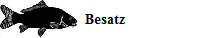 Bestaz